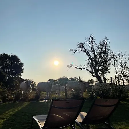 La Maison Des Jonquerets 度假居 *