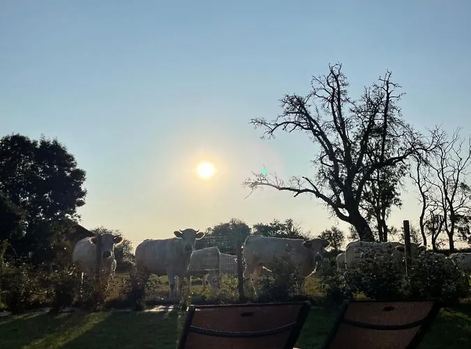 La Maison Des Jonquerets Σπίτι διακοπών *